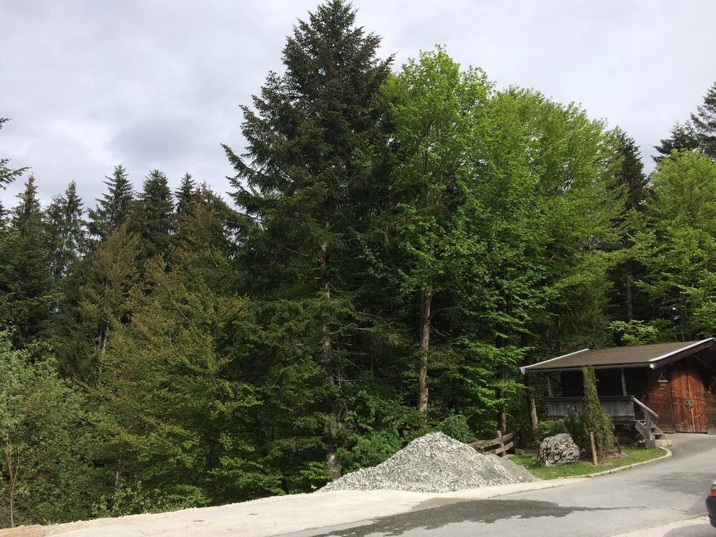 Ferienwohnung Wieser Fieberbrunn Zewnętrze zdjęcie